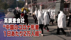 「中国のコロナ死者 １日あたり2万人超」英調査会社が試算