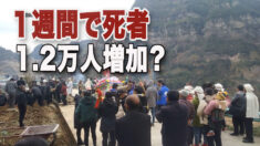１週間で1.2万人増？民衆「死者が大量に出ている」