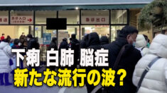 下痢 白肺 脳症 新たな流行の波が到来？