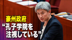 豪州「政府は孔子学院の活動を注視している」