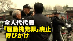 全人代代表「騒動挑発罪」廃止呼びかけ