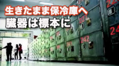 【禁聞】生きたまま保冷庫へ 臓器は標本に（下）