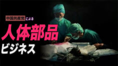中国共産党による人体部品ビジネス【日本語字幕】