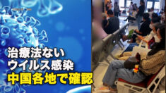 治療法ないウイルス感染　中国各地で確認