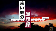 赤い壁の回想録−4月25日の陳情の始まりから終わりまで The Memory Of The Red Wall