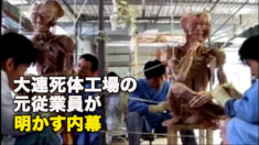【閲覧注意】大連死体工場の元従業員が明かす内幕