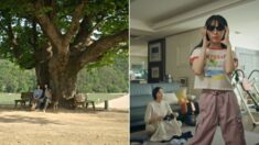 시간을 거슬러 어린 시절 엄마를 만난다… 외신방송 NTD,  미니드라마 ‘느티나무의 꿈’ 방송