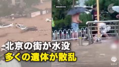 北京の街が水没 　多くの遺体が散乱