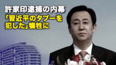 許家印逮捕の内幕：「習近平のタブーを犯した」犠牲に