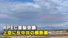 APEC首脳会議　上空に反中共の横断幕
