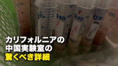 カリフォルニアの中国実験室の驚くべき詳細