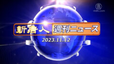 NTD週刊ニュース 2023.11.12