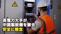 英電力大手が中国製設備を撤去　安全に懸念