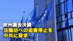 欧州議会決議　法輪功への迫害停止を中共に要求
