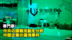 専門家：中共の諜報活動を分析　中国企業の漏洩事件