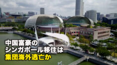 中国富豪のシンガポール移住は集団海外逃亡か