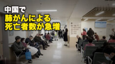 中国で肺がんによる死亡者数が急増