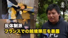 【独占インタビュー】反体制派：フランスで経験した中共スパイの越境弾圧を暴露