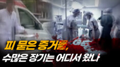 중공, 어떻게 ‘장기이식 선진국’ 됐나…그들의 실체 (2부) [ATL]