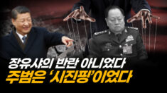 당 규칙 어겨가며 군부 휘어잡으려던 진짜 이유는? | 헝허 인터뷰 [ATL]